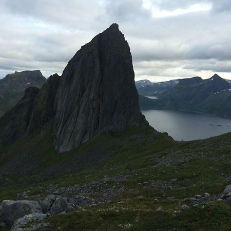 Fjordgard Leilighet A Exterior foto